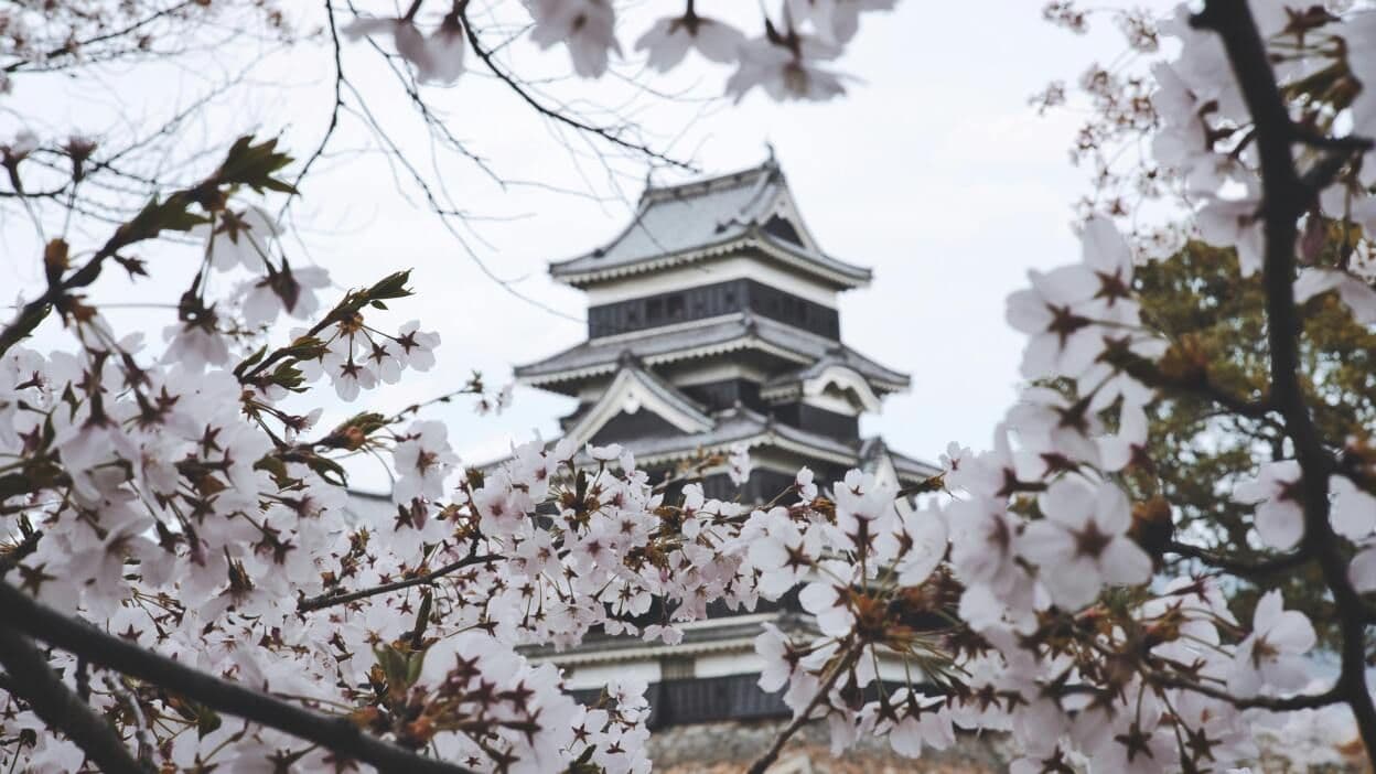 The best eSIM for Japan in 2025