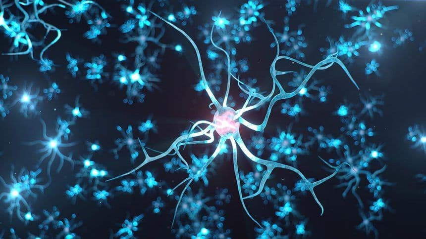 Brain Basics: The Life and Death of a Neuron